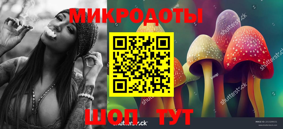Псилоцибиновые грибы GOLDEN TEACHER  Галлюциногенные грибы Psilocybine cubensis  Вход с VPN  Советская Гавань 