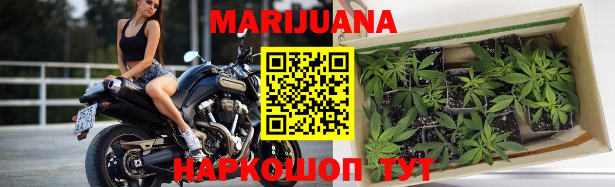 Советская Гавань  Конопля Amnesia  Вход с VPN  Бошки марихуана индика  Канабис Bruce Banner 
